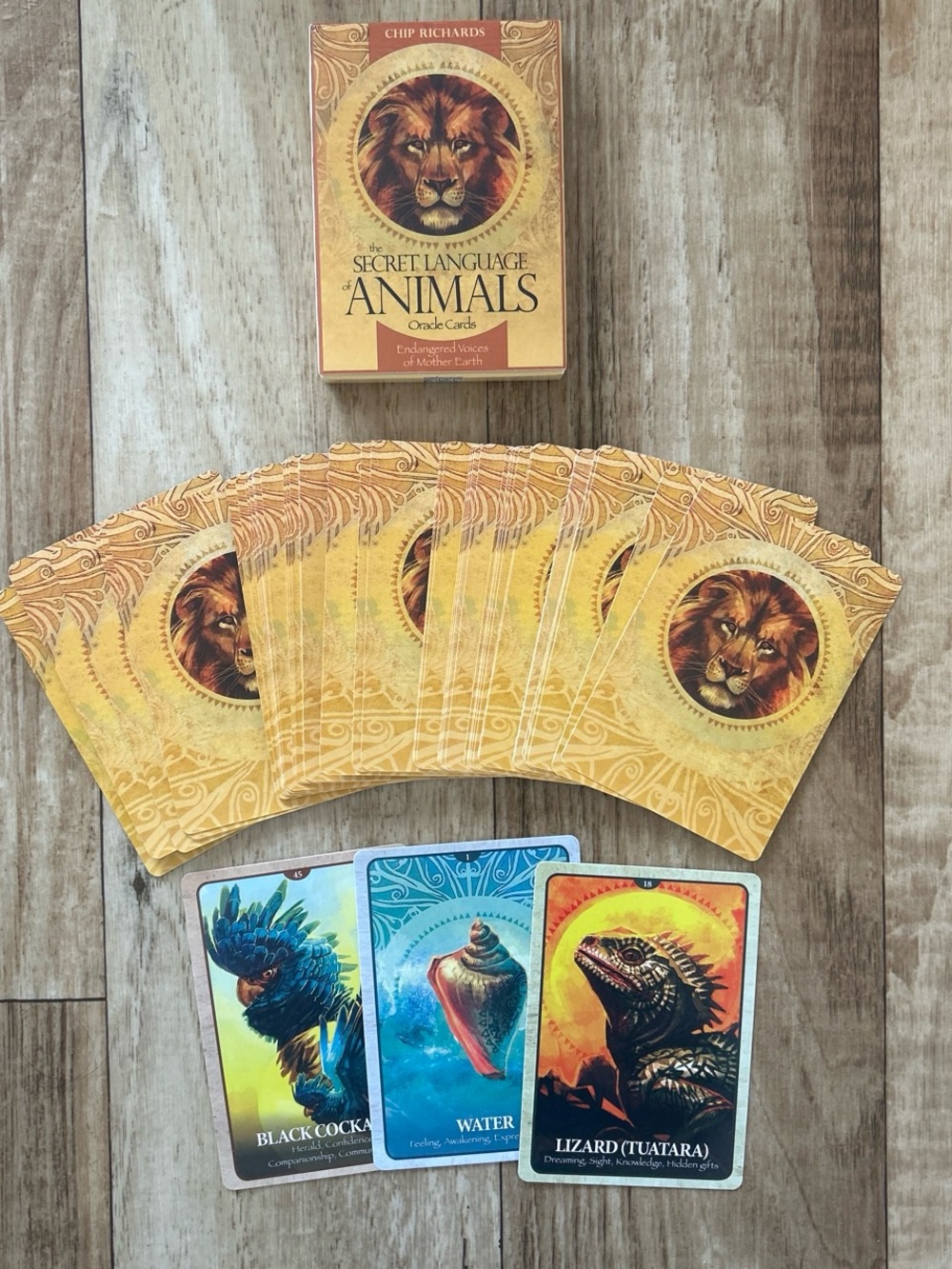 Secret Language of Animals Oracle Cards